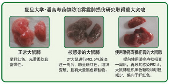 微信图片_20181116114451.jpg