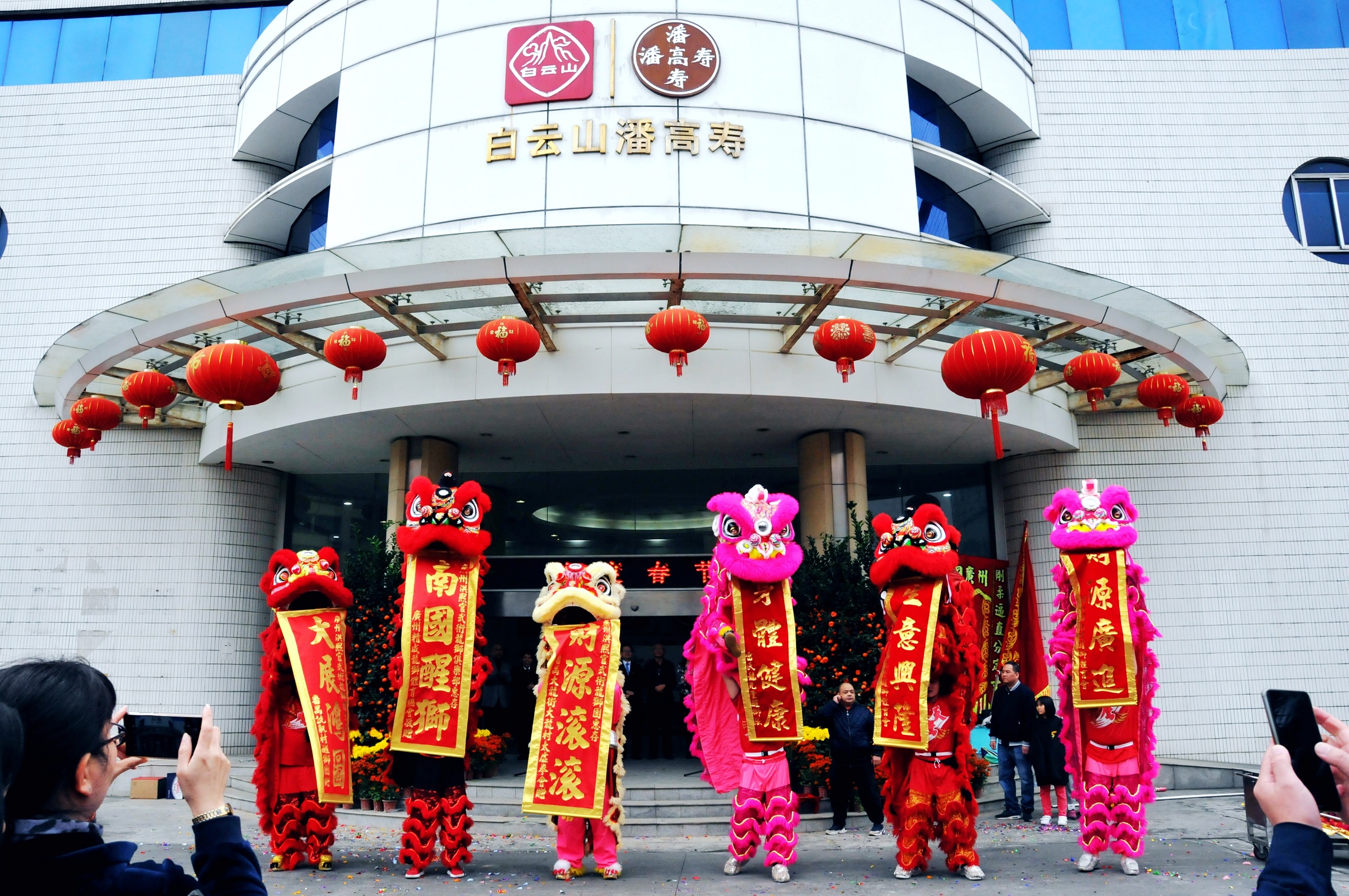 1.醒狮腾跃贺新春.jpg